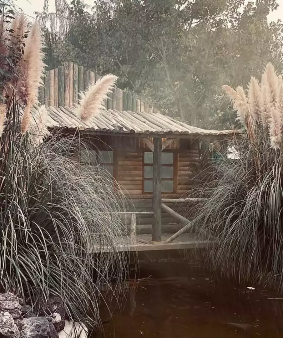 باغ عمارت قصر سفید