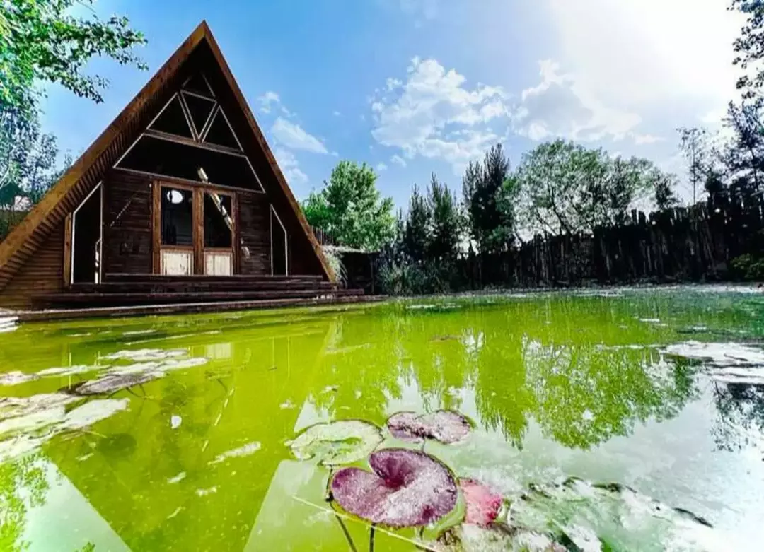 باغ عمارت قصر سفید