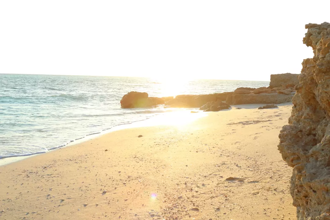 ساحل مرجان جزیره کیش