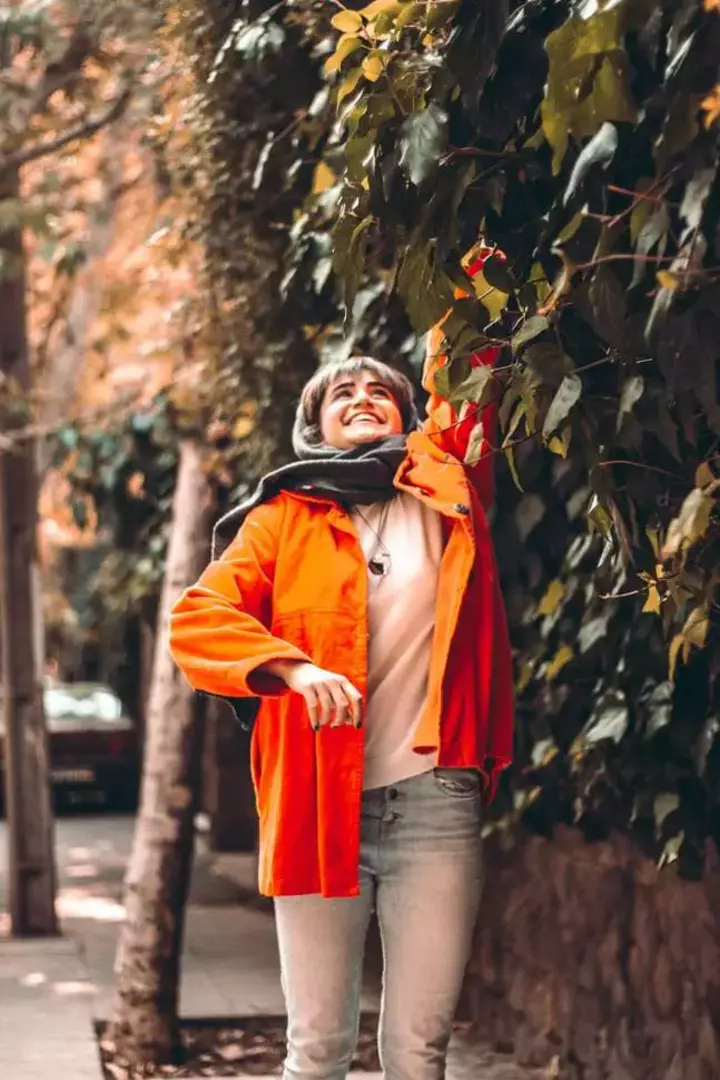 خیابان ولیعصر تهران