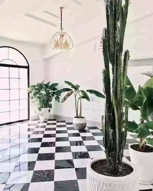 باغ عمارت ماکان