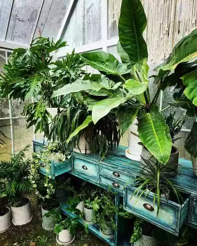 باغ عمارت ماکان