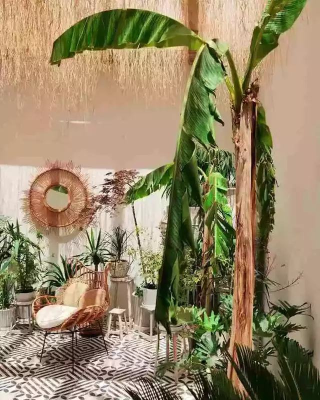 باغ عمارت ماکان