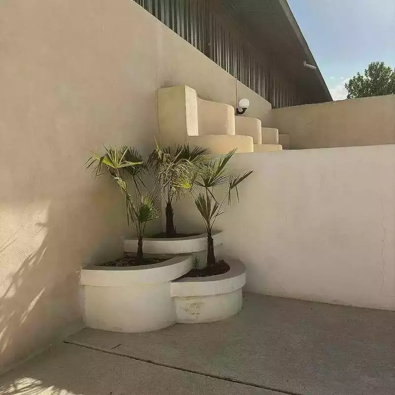 استودیو دریم 