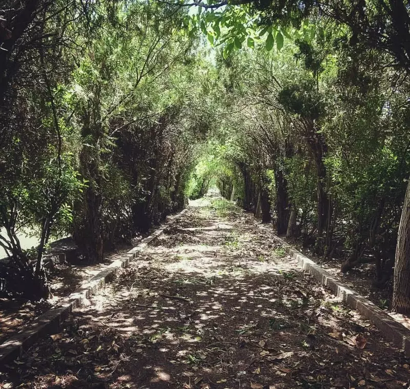 باغ عمارت شیلات