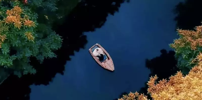 باغ عمارت شیلات