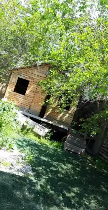 باغ عمارت ظهیر 