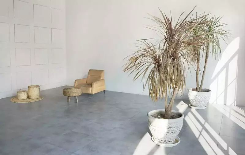 باغ عمارت پرنسا