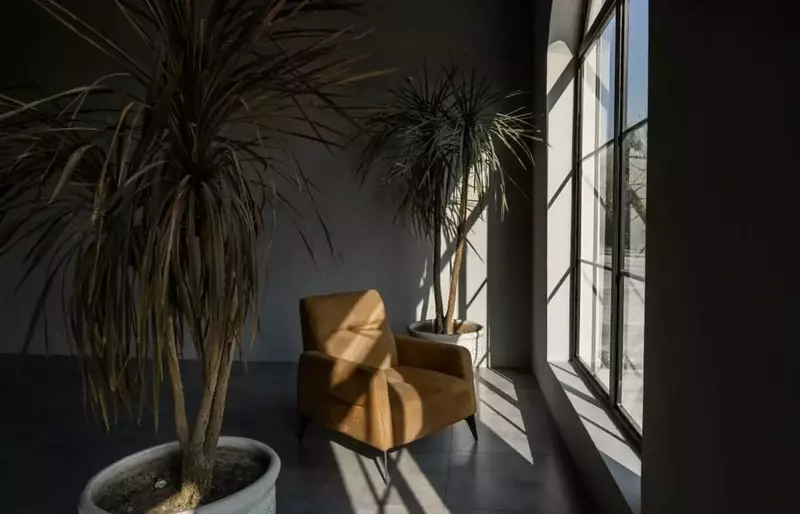 باغ عمارت پرنسا