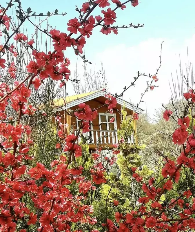 باغ عمارت پرنسا