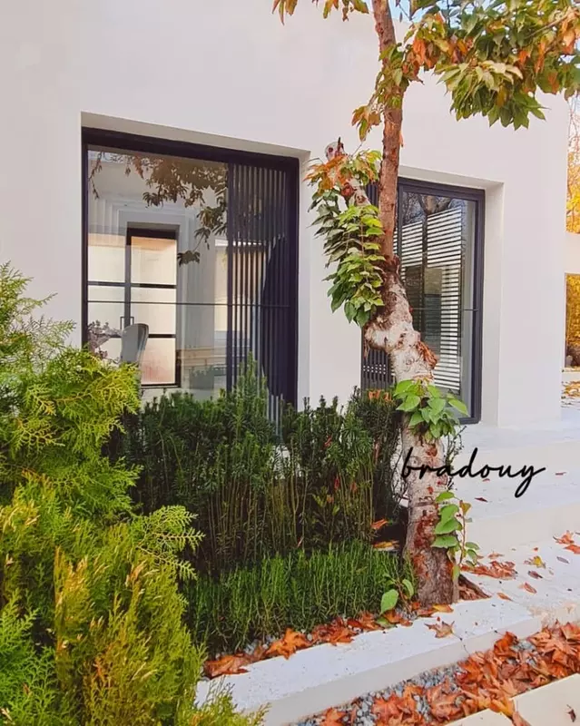 باغ عمارت برادوی