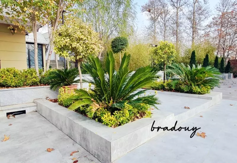 باغ عمارت برادوی