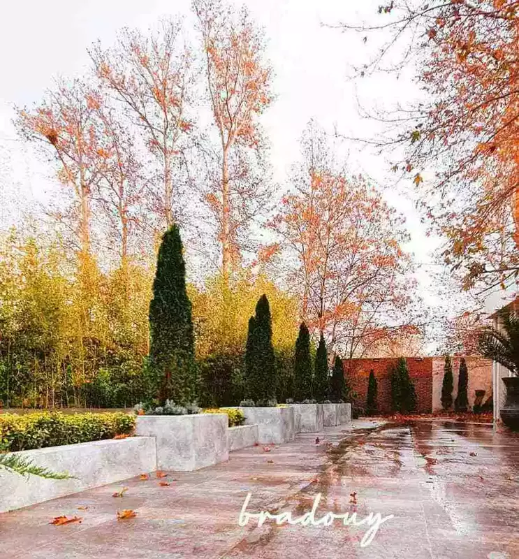 باغ عمارت برادوی