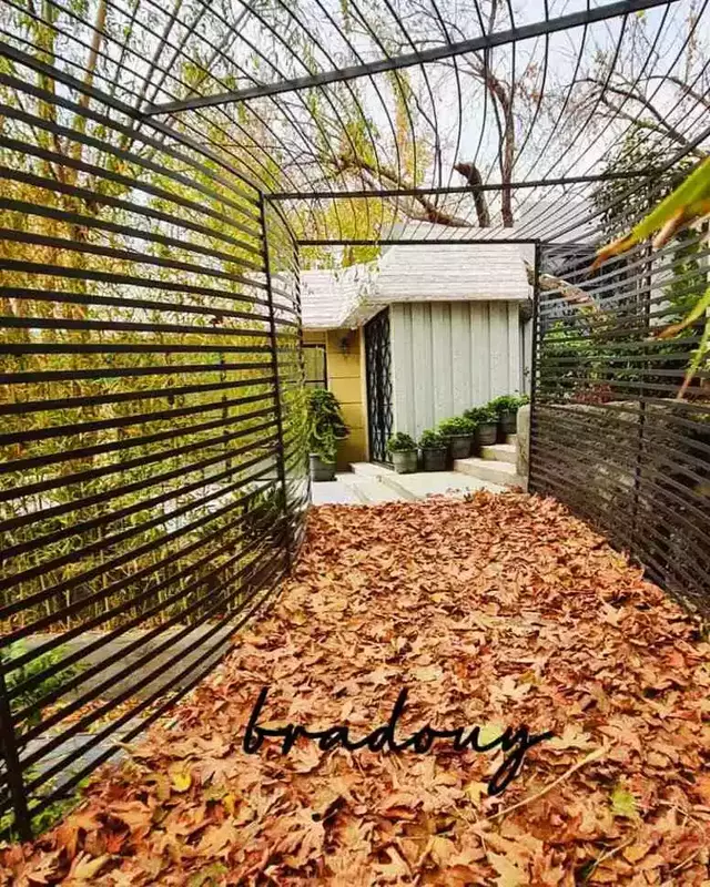 باغ عمارت برادوی