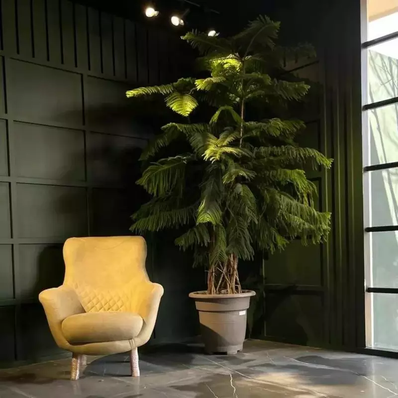 باغ و عمارت مانیا