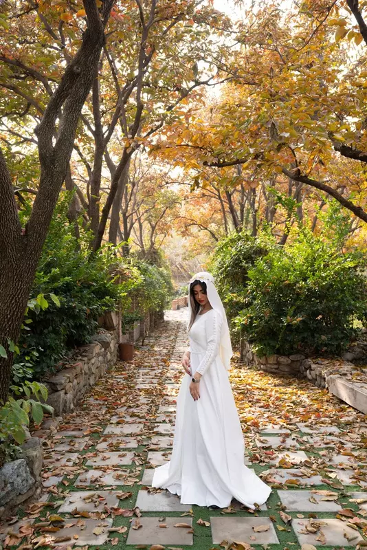 باغ عمارت ویدا