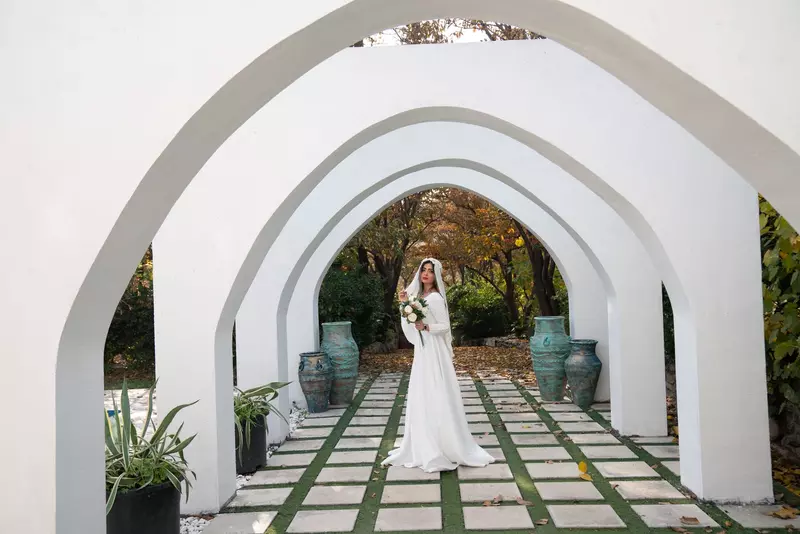 باغ عمارت ویدا