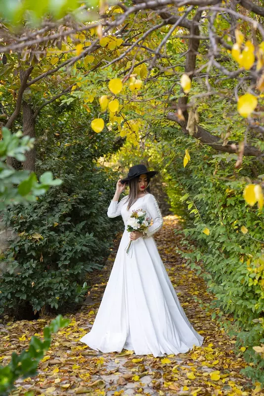 باغ عمارت ویدا