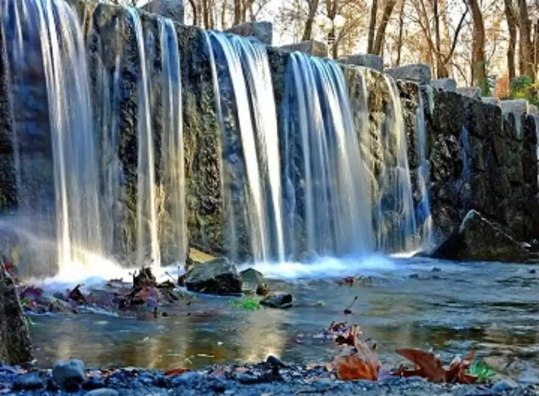 پارک جنگلی وکیل آباد مشهد