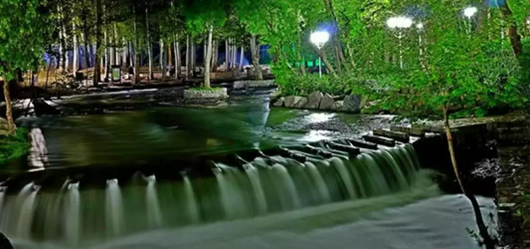 پارک جنگلی وکیل آباد مشهد