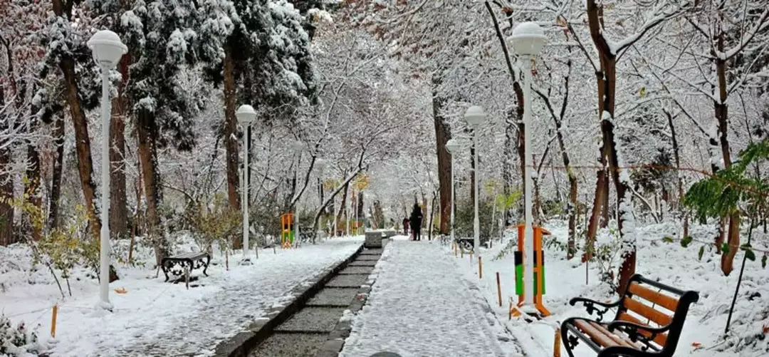 پارک جنگلی وکیل آباد مشهد