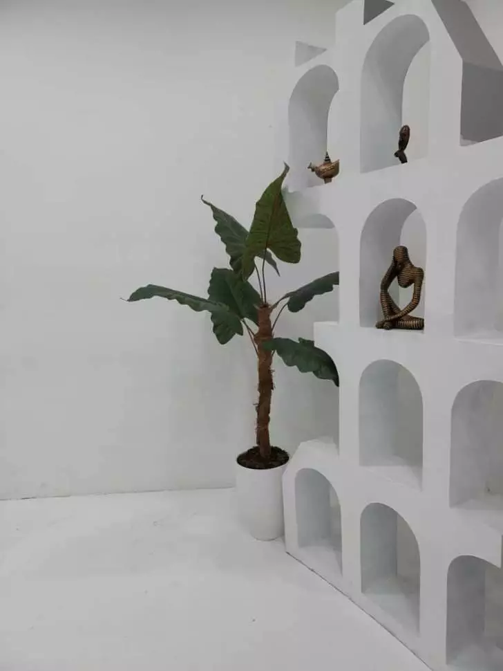 عکس استودیو استار(شعبه شرق)