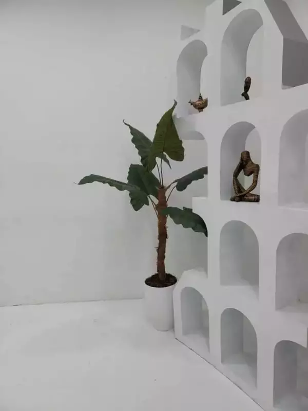 استودیو استار(شعبه شرق)