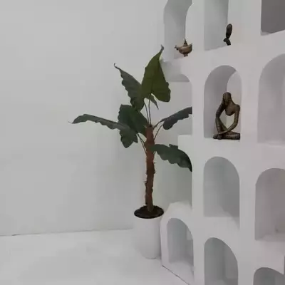 استودیو استار(شعبه شرق)