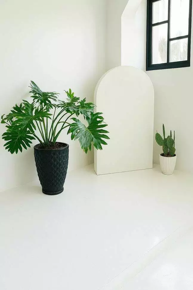 عکس لوکیشن استار (شعبه غرب)