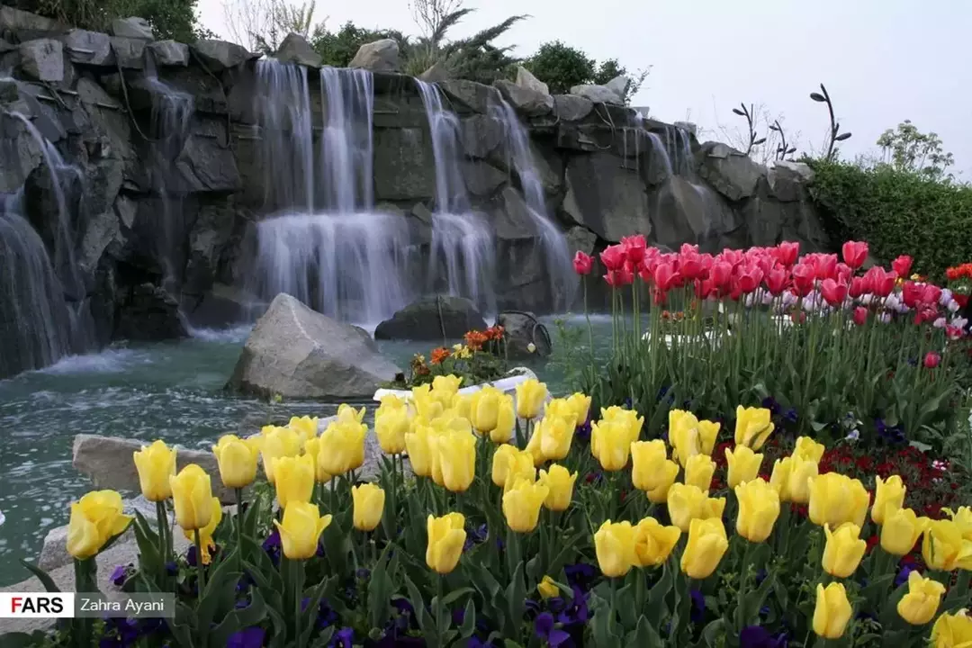 بوستان گل ها مشهد