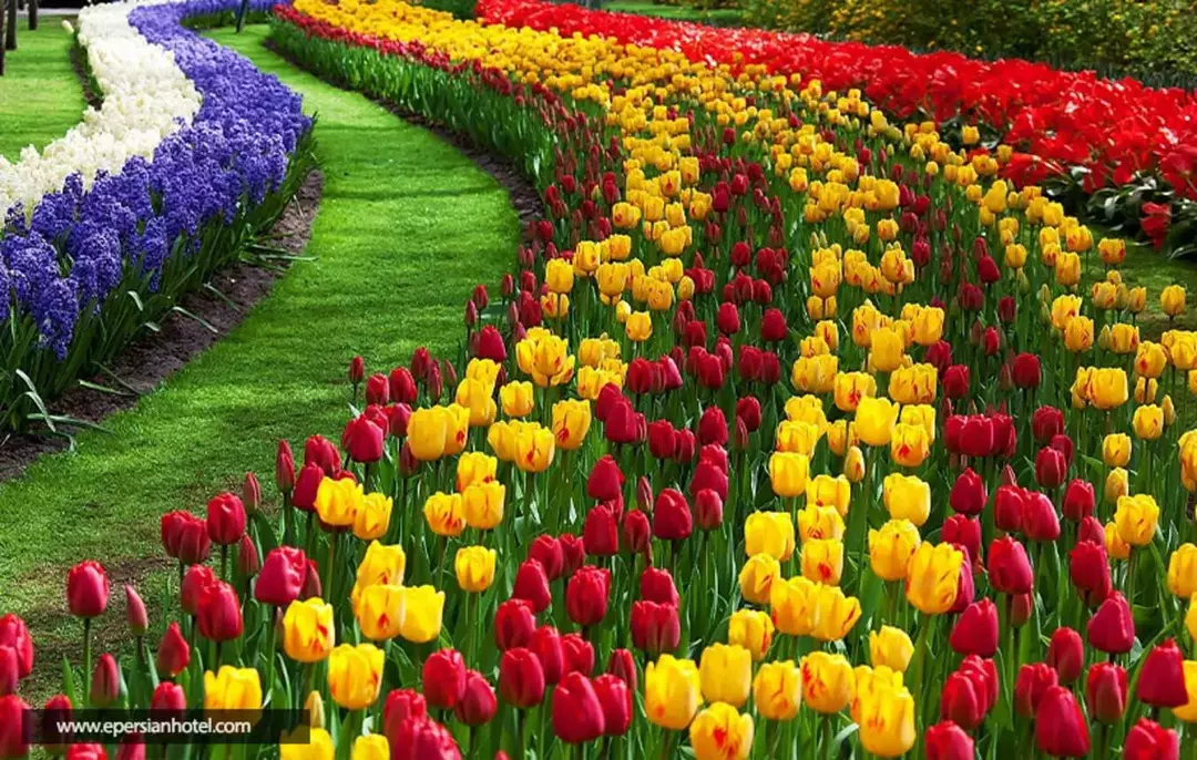 بوستان گل ها مشهد