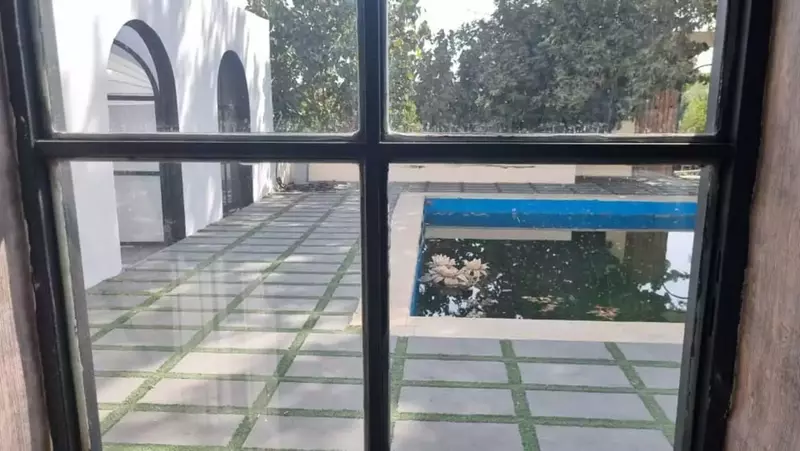 استودیو ماوی