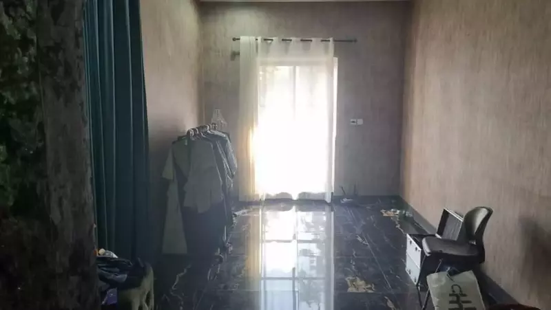 استودیو ماوی