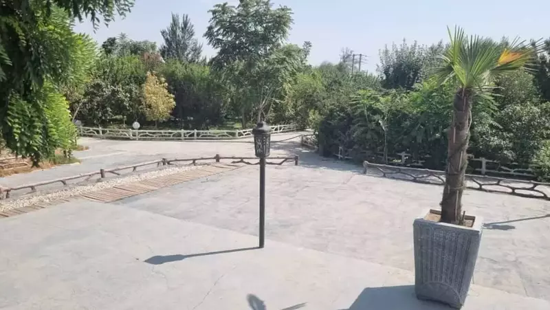 استودیو ماوی