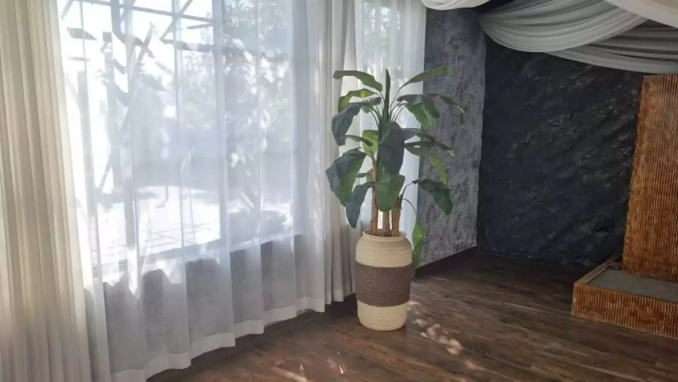 عکس استودیو ماوی