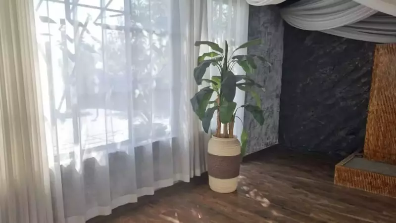 استودیو ماوی