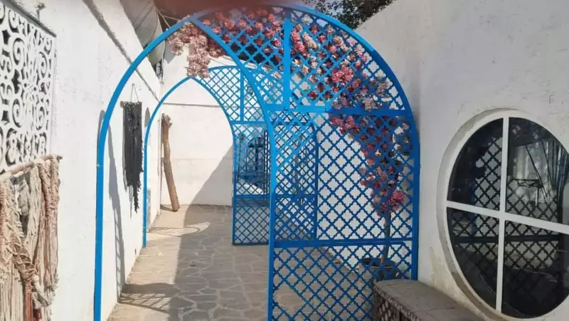 استودیو ماوی