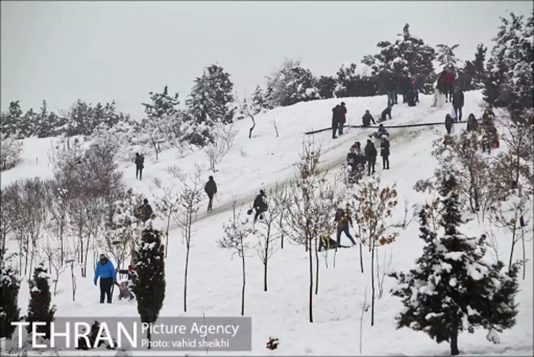 پارک پردیسان