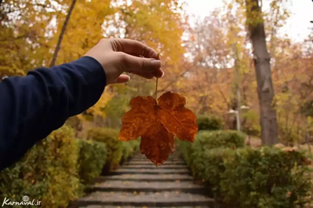 پارک جمشیدیه