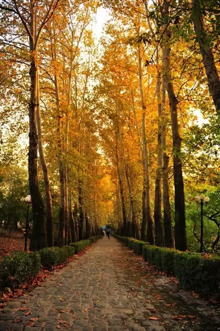 پارک جمشیدیه