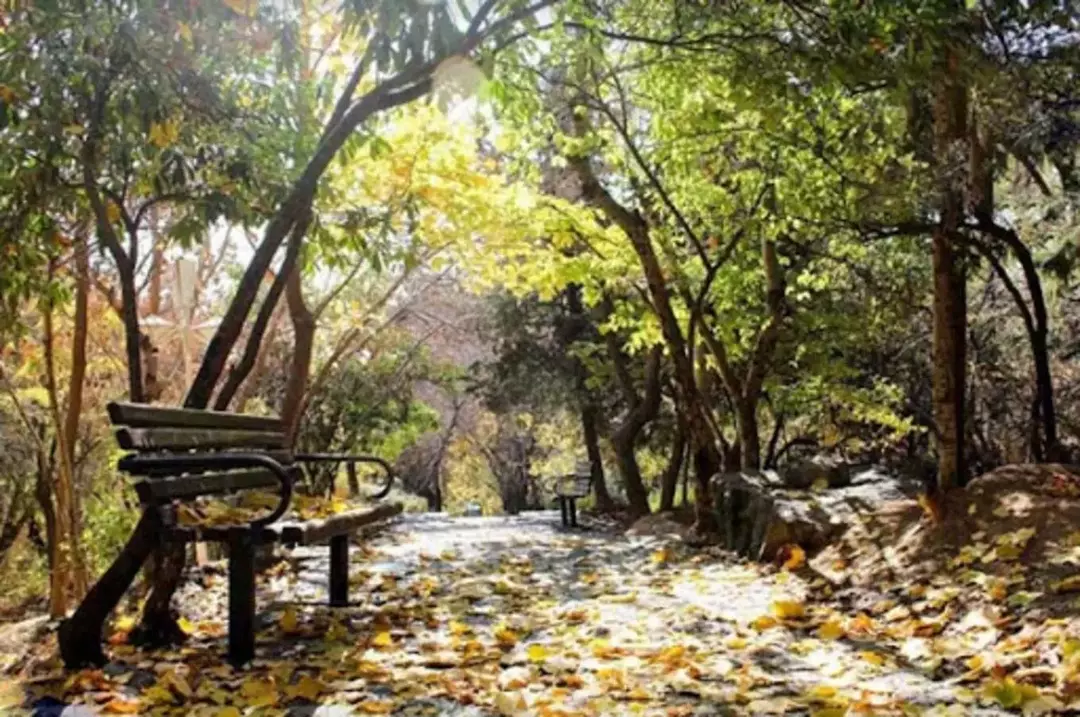 پارک جمشیدیه