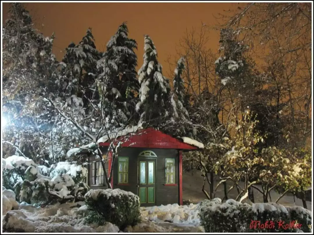 پارک جمشیدیه