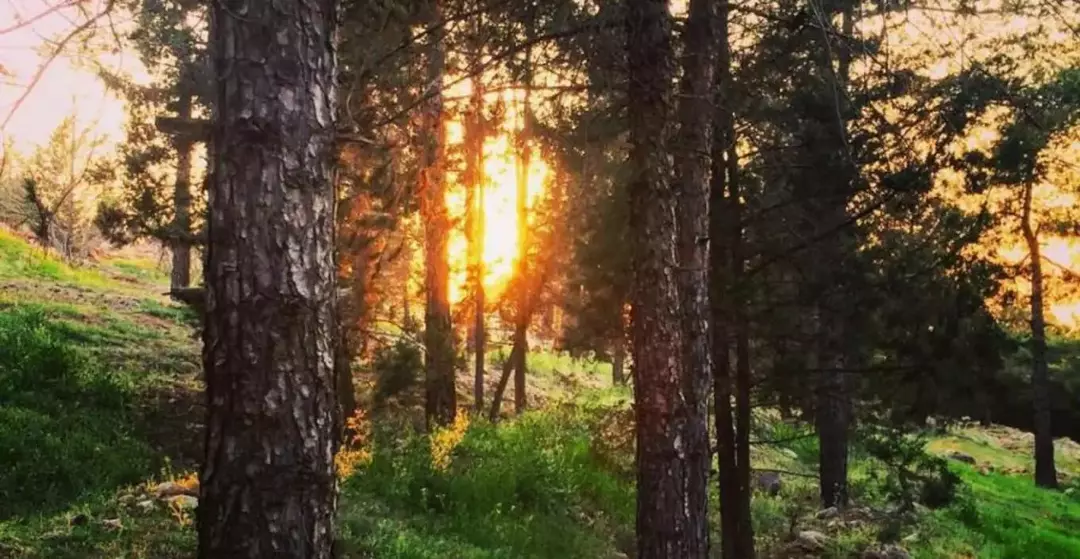 پارک ملی سرخه حصار