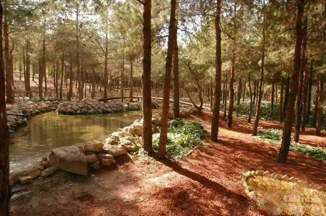 پارک ملی سرخه حصار