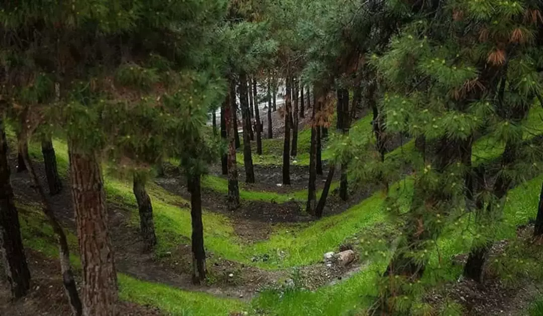 پارک ملی شیان_لویزان 