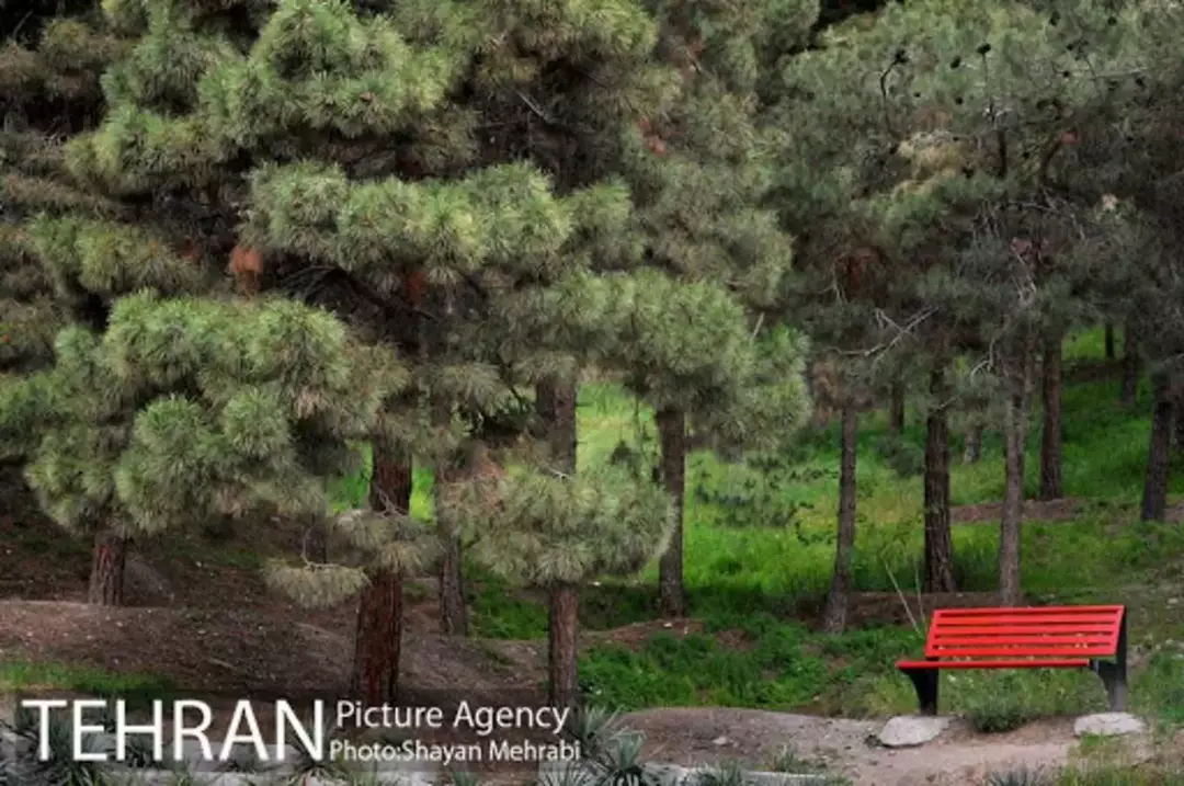 پارک ملی شیان_لویزان 