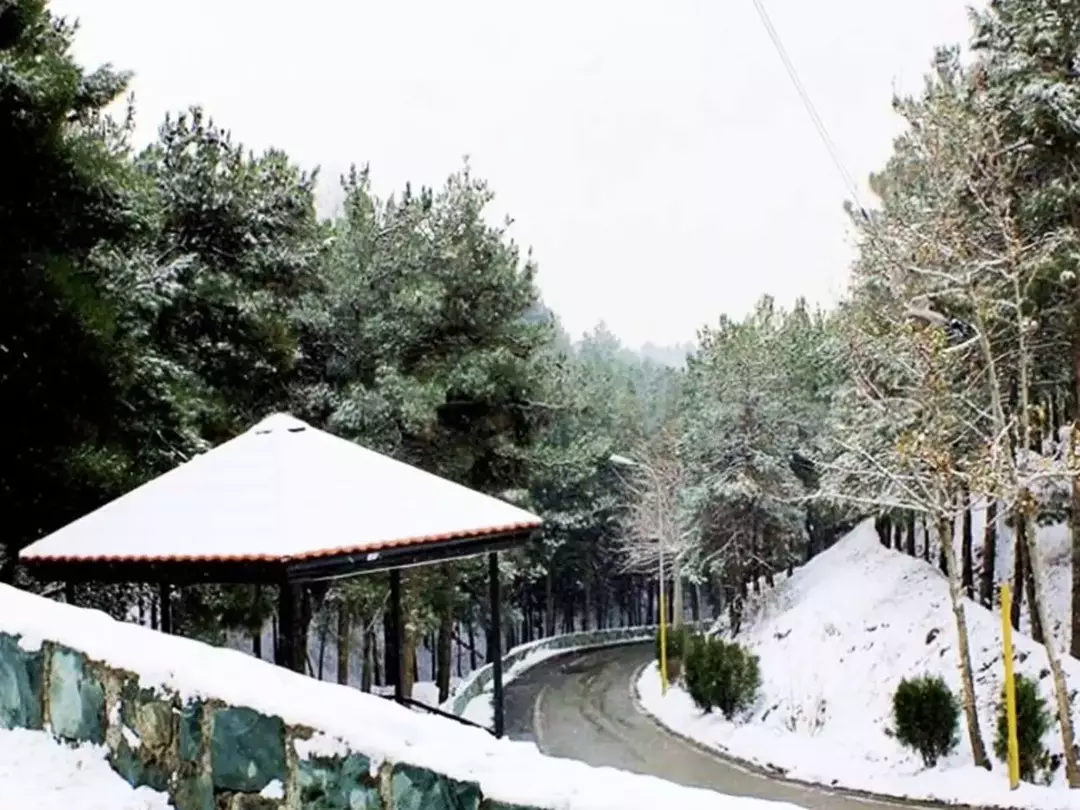 پارک ملی شیان_لویزان 