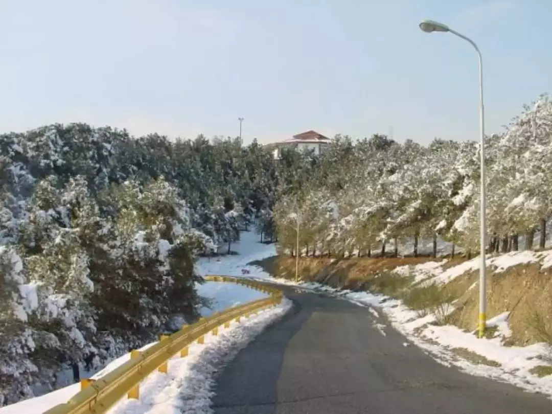 پارک ملی شیان_لویزان 