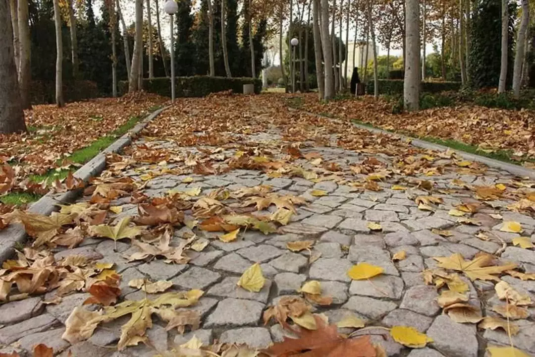 باغ گل های اصفهان