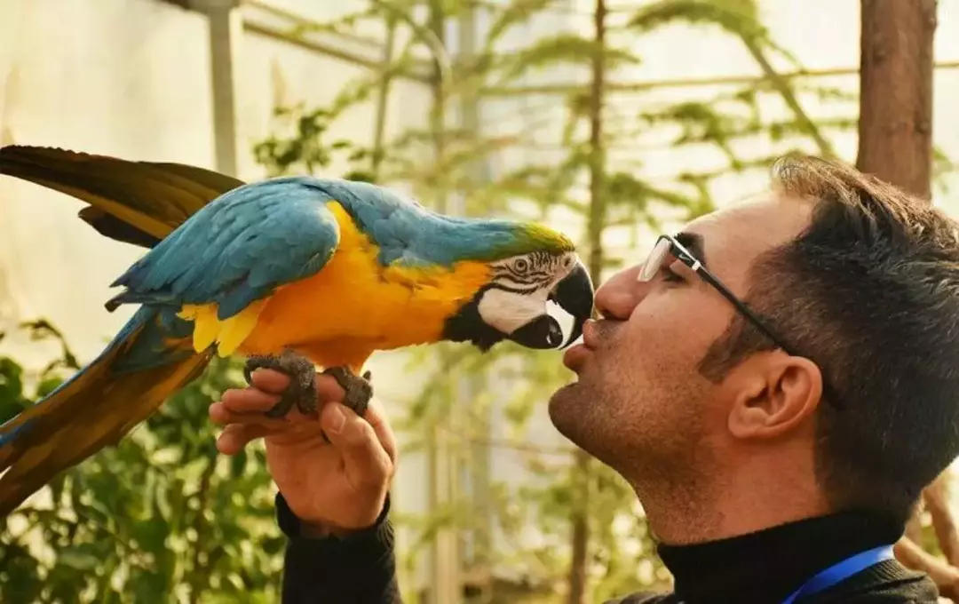 باغ پرندگان اصفهان